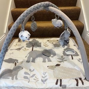 Pottery Barn Animal Friends Activity Gym